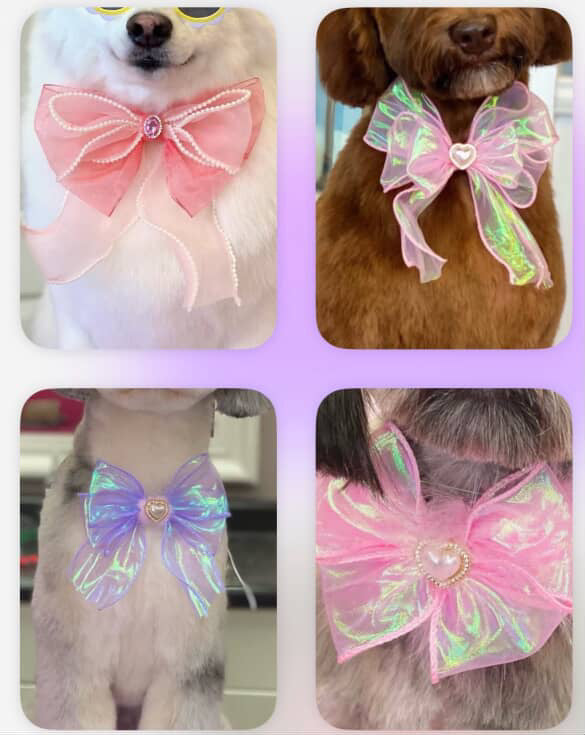 Bow Order Deposit for All Fluffed Up