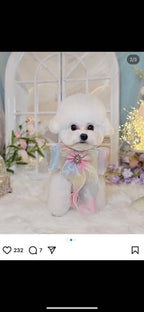 Bow Order Deposit for All Fluffed Up