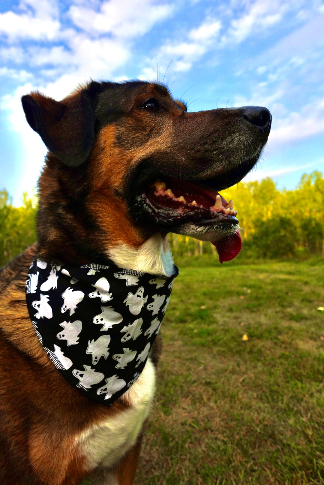 Howl-O-Ween Bandana Pack – 40 Triangle Dog Bandanas (S/M/L)
