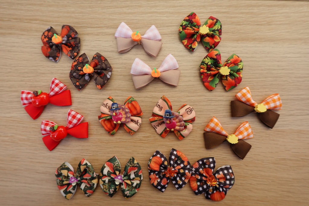 Autumn Stroll 16-Piece Small Bow Set