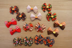 Autumn Stroll 16-Piece Small Bow Set