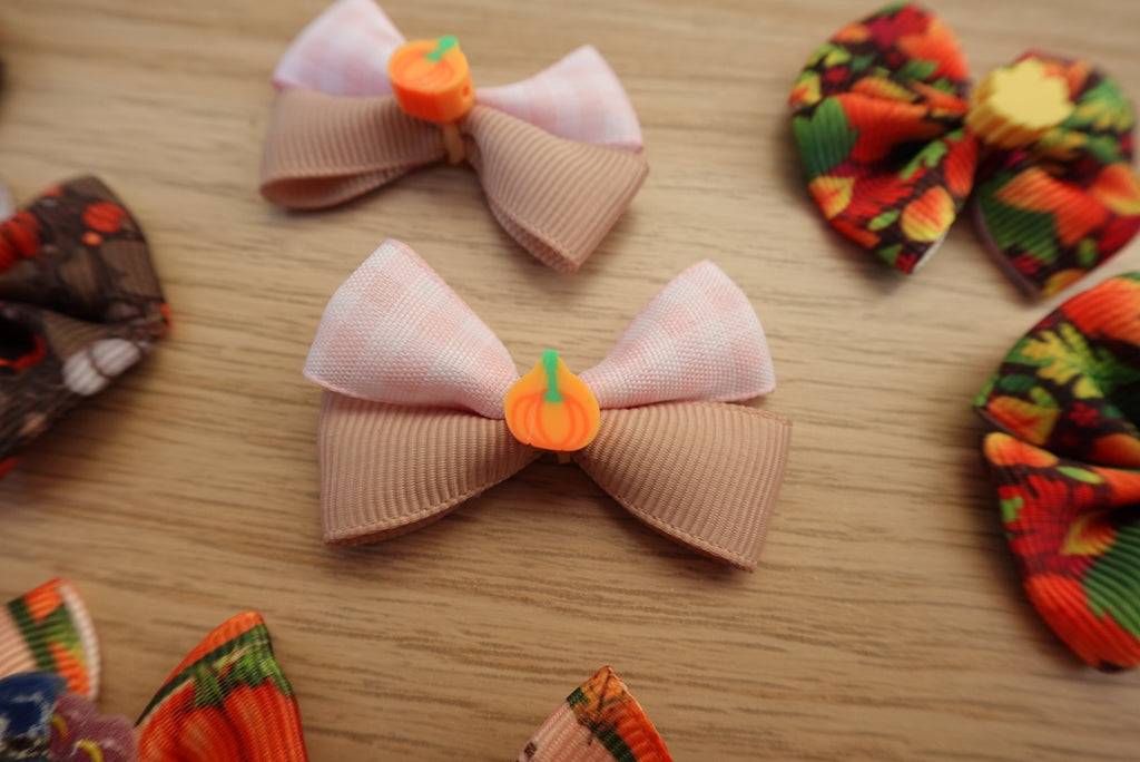 Autumn Stroll 16-Piece Small Bow Set