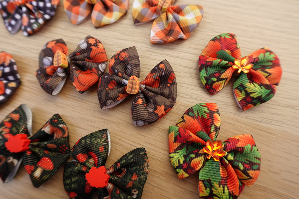Crisp Autumn 10-Piece Small Bow Set