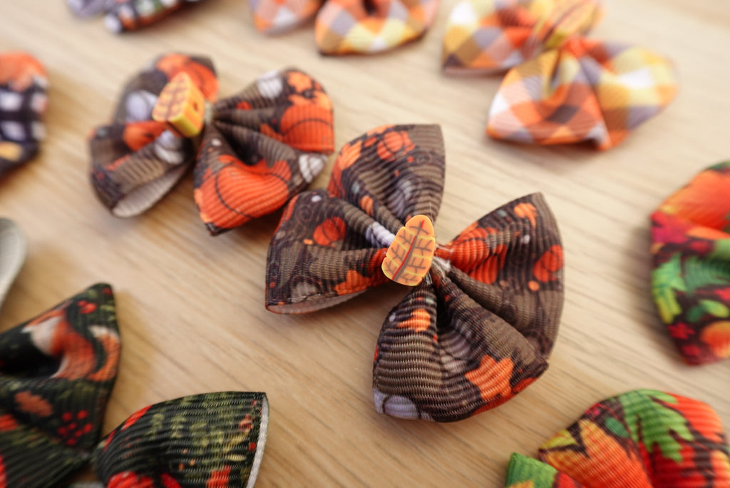 Crisp Autumn 10-Piece Small Bow Set