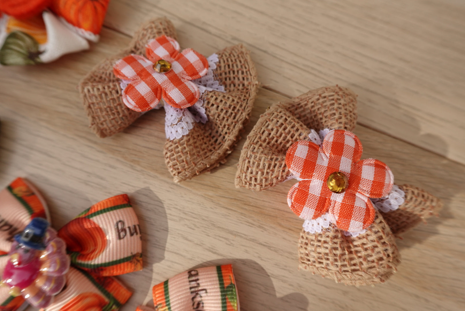 Autumn Glow 20-Piece Large Bow Bundle