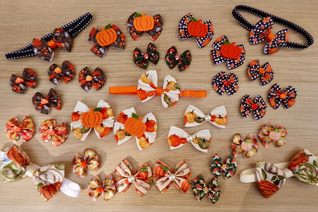 Harvest Hues 31-Piece Bow & Bowtie Bundle