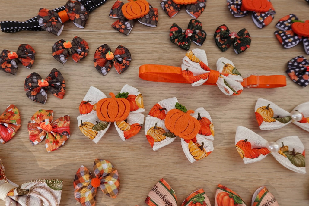Harvest Hues 31-Piece Bow & Bowtie Bundle