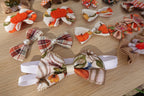 Autumn Bliss 40-Piece Bow & Bowtie Set
