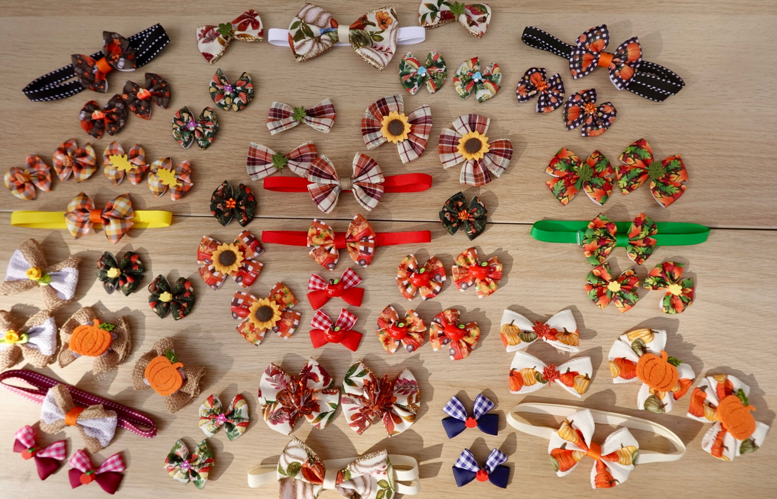 Harvest Hues 60-Piece Bow & Bowtie Collection