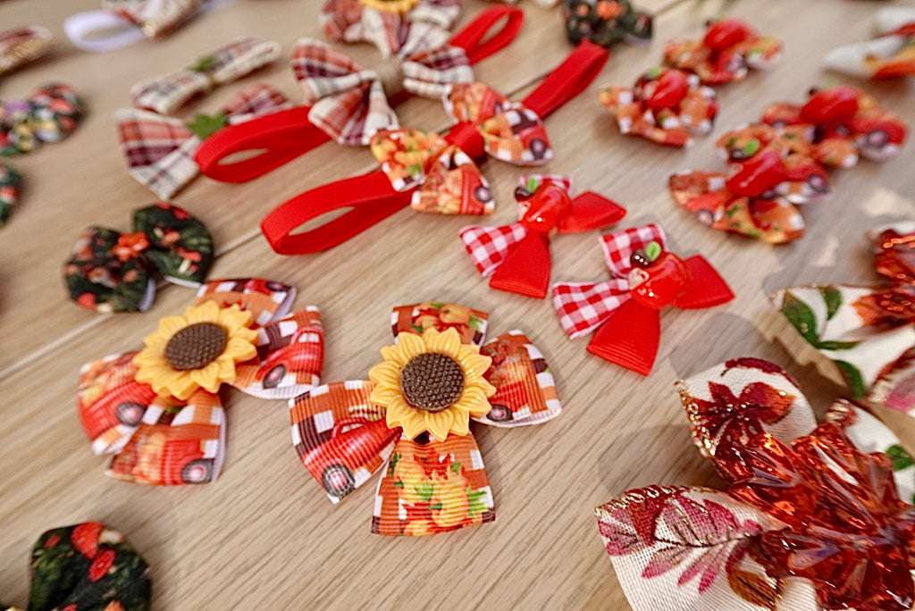Harvest Hues 60-Piece Bow & Bowtie Collection