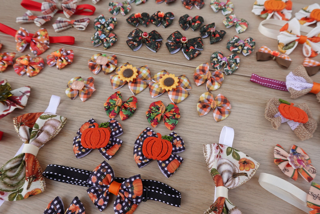 Cozy Autumn 60-Piece Bow & Bowtie Collection