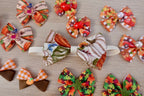 Autumn Harvest Ultimate Bow & Bowtie Bundle